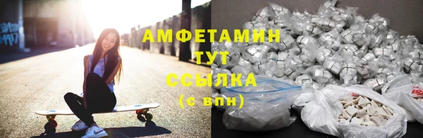 прущие крисы Бородино