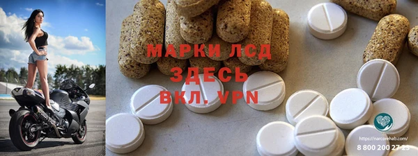 прущие крисы Бородино