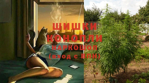 прущие крисы Бородино